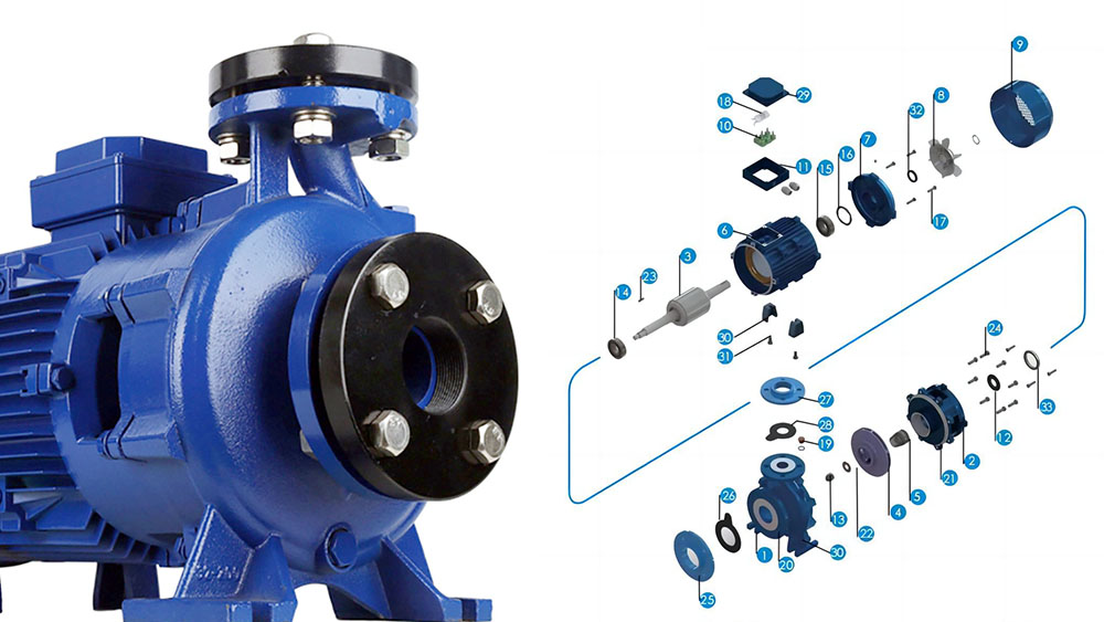 Inside an End Suction Pump.jpg Inside an End Suction Pump.jpg