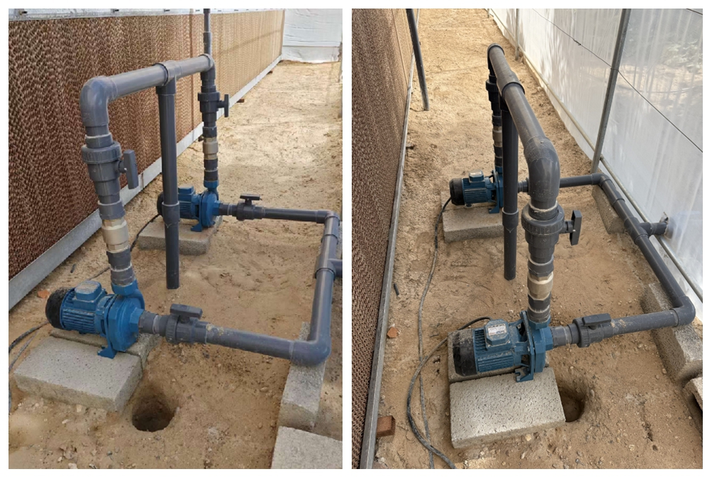 Высокопроизводительные центробежные насосы для орошения теплиц: практический пример применения насоса S2DK.