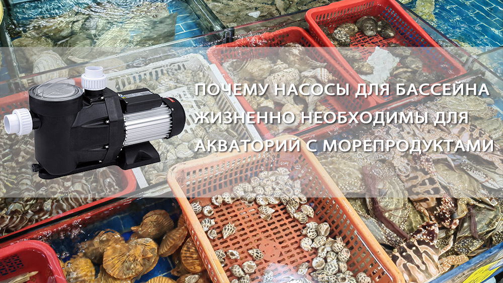 Почему насосы для бассейнов жизненно важны для резервуаров с морепродуктами