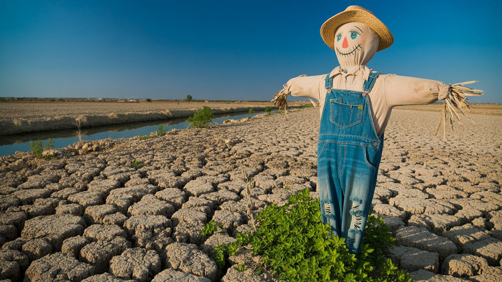 Роль водяных насосов в сельском хозяйстве засушливых регионов