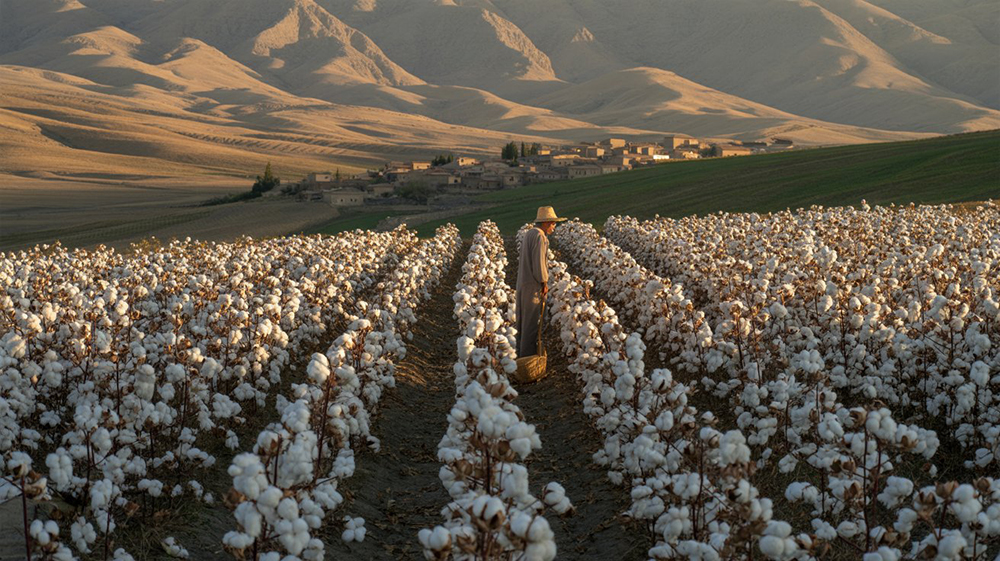 Понимание сельскохозяйственных ирригационных насосов в Азербайджане