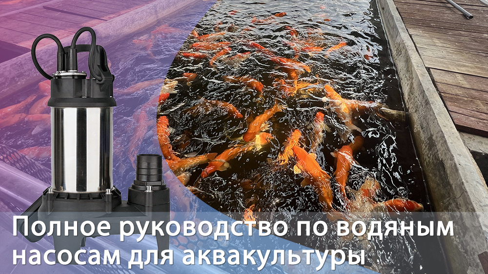 Полное руководство по водяным насосам для аквакультуры