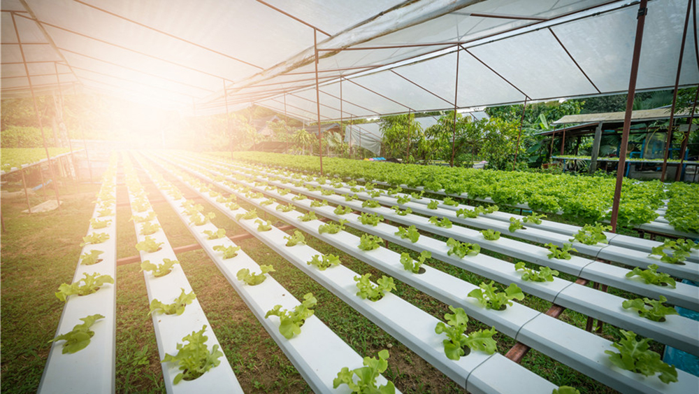 Решение для насоса для гидропонной культуры
