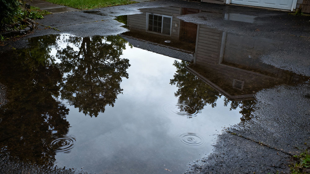Лучший насос для дренажа подъездных путей и дворов